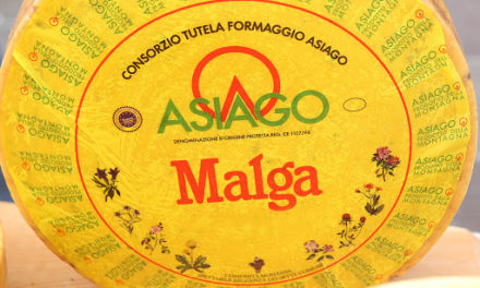 Asiago, le ricette dei cuochi del gruppo 7 Comuni con i formaggi di malga